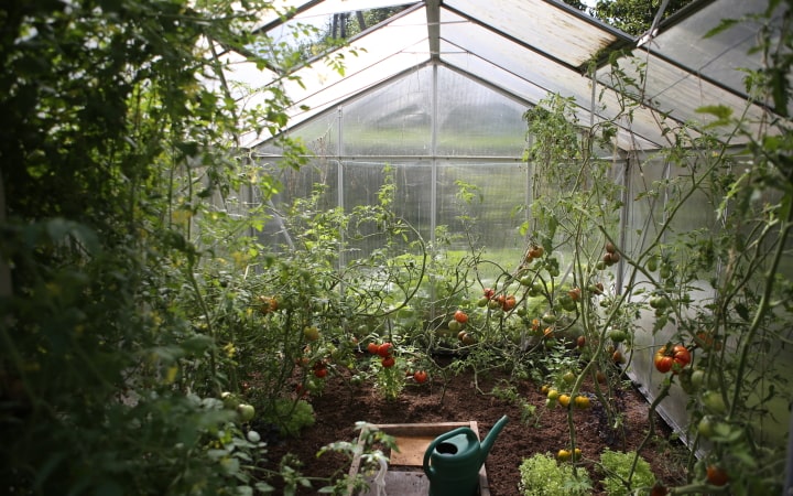 pest control in greenhouses