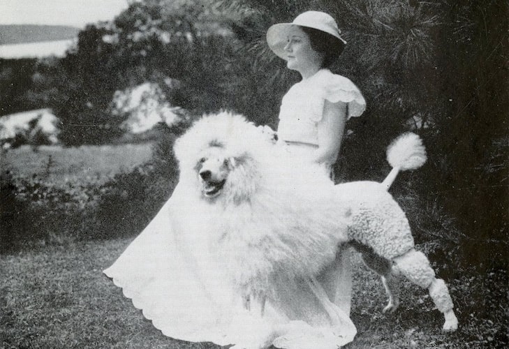 The Poodle History